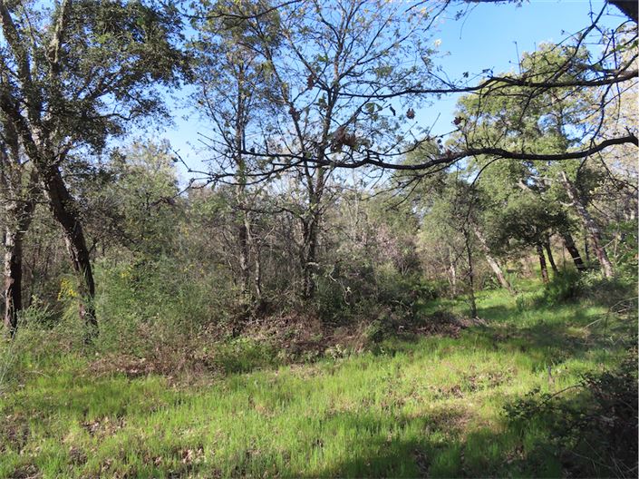 Image No.15-Propriété à vendre à Castelo Branco