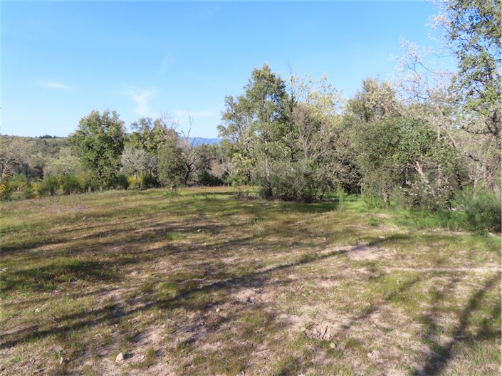 Image No.2-Propriété à vendre à Castelo Branco