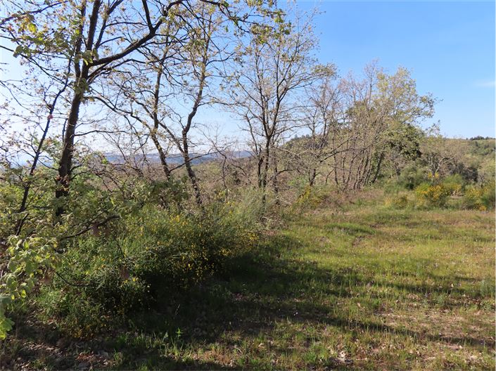 Image No.3-Propriété à vendre à Castelo Branco