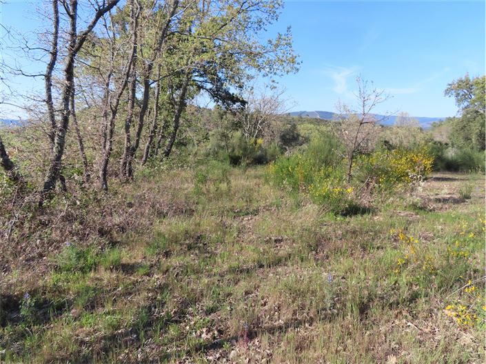 Image No.4-Propriété à vendre à Castelo Branco