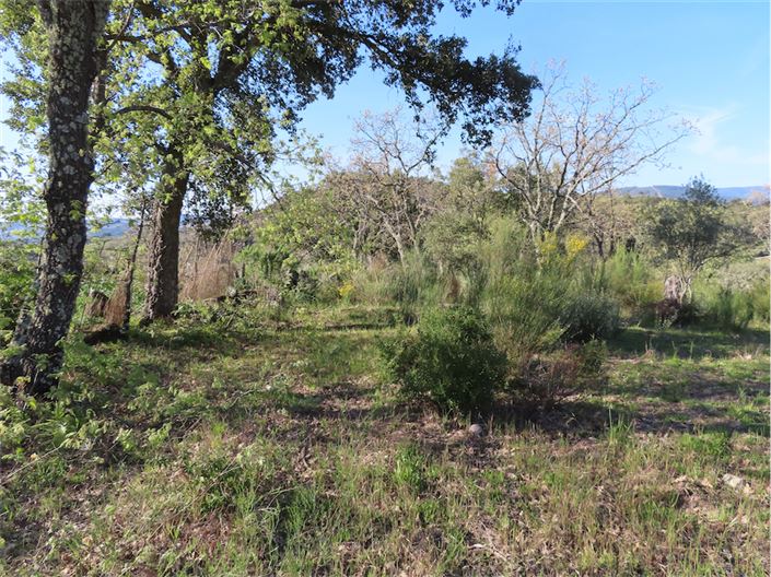 Image No.5-Propriété à vendre à Castelo Branco