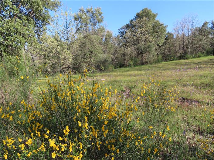 Image No.6-Propriété à vendre à Castelo Branco