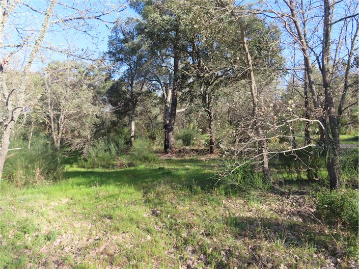 Image No.7-Propriété à vendre à Castelo Branco