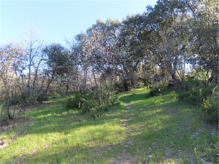 Image No.8-Propriété à vendre à Castelo Branco