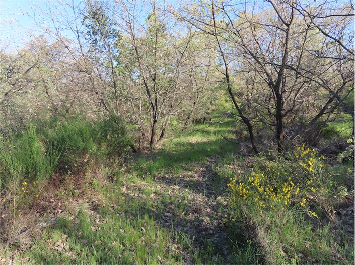 Image No.9-Propriété à vendre à Castelo Branco