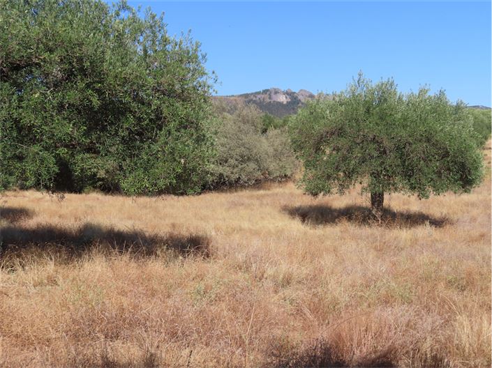 Image No.10-Property for sale