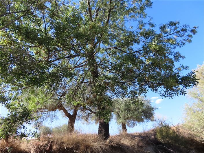 Image No.12-Property for sale