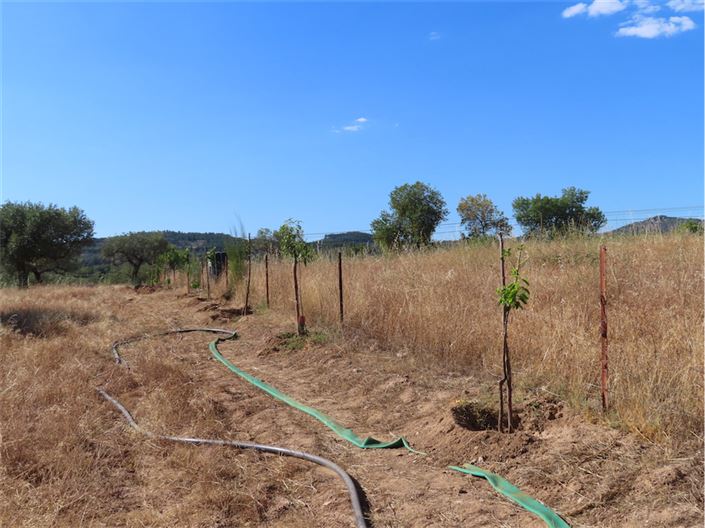 Image No.15-Property for sale