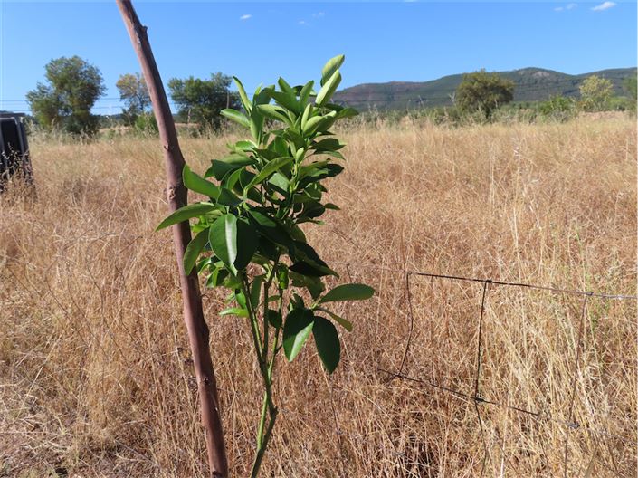 Image No.17-Property for sale