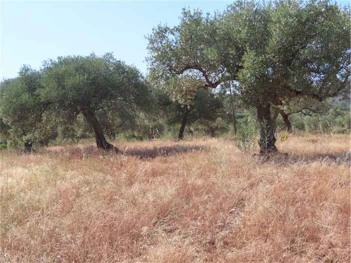 Image No.19-Property for sale