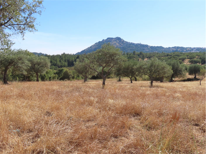 Image No.2-Property for sale