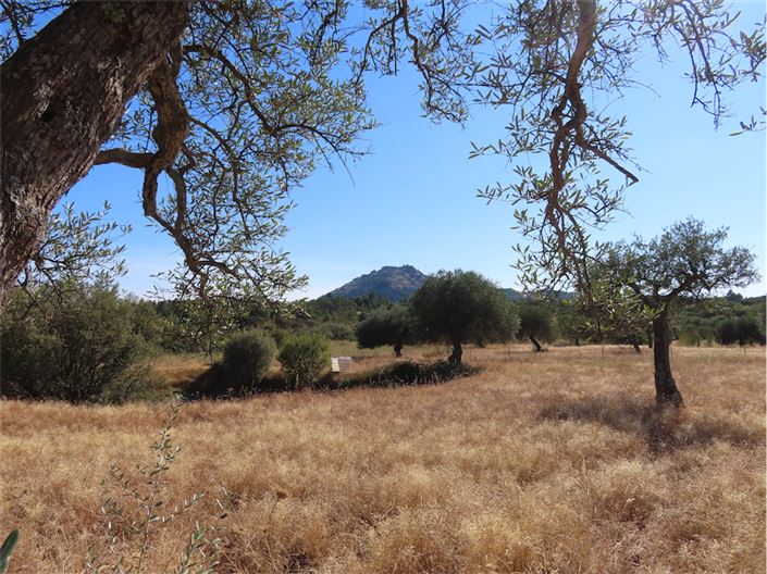 Image No.21-Property for sale