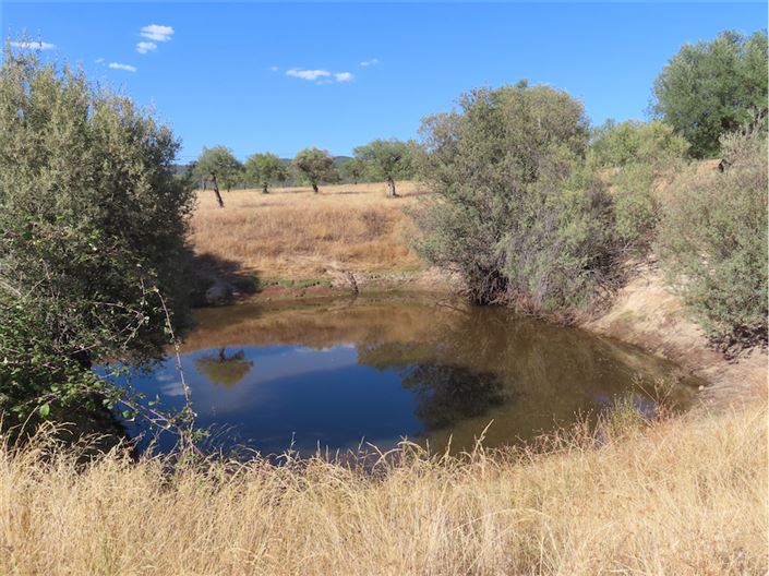 Image No.23-Property for sale