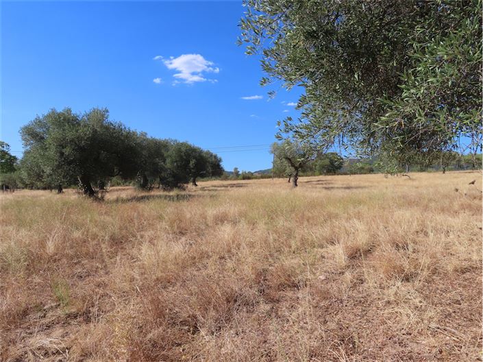 Image No.24-Property for sale