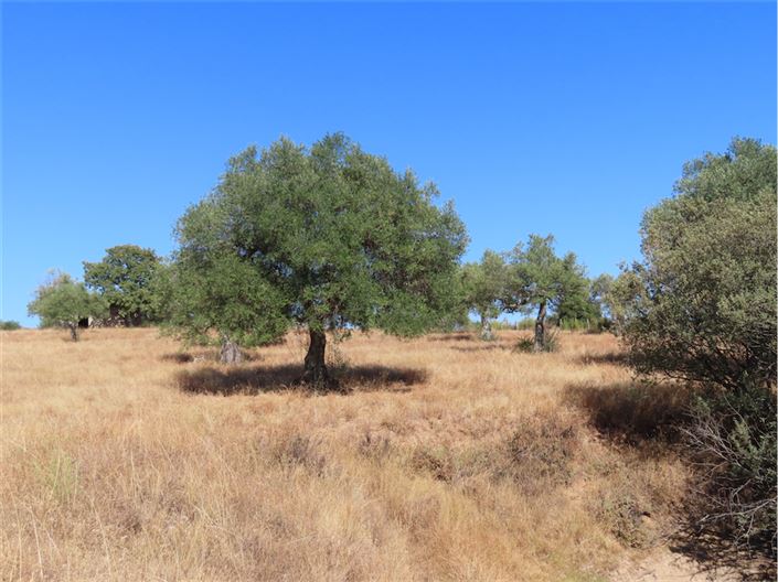 Image No.26-Property for sale