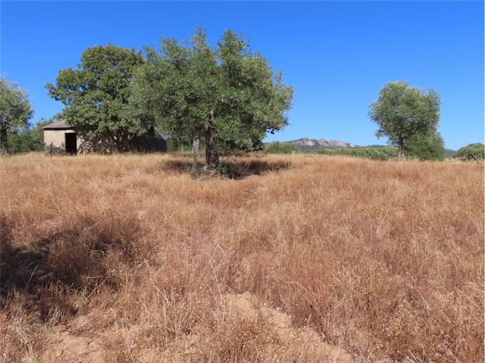 Image No.27-Property for sale