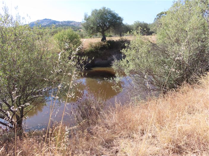 Image No.4-Property for sale