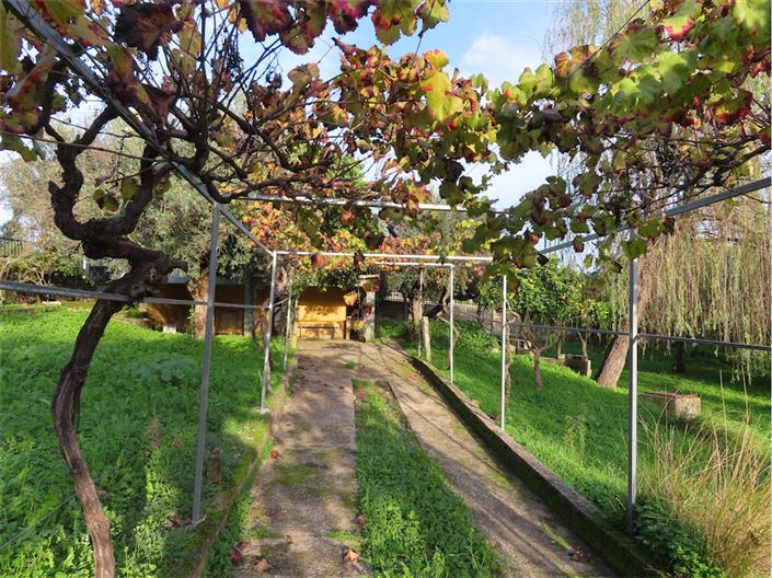 Image No.10-Propriété de 3 chambres à vendre à Castelo Branco