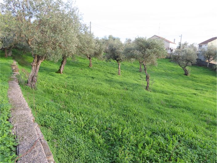 Image No.12-Propriété de 3 chambres à vendre à Castelo Branco