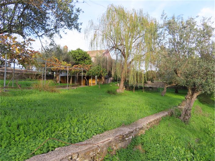 Image No.13-Propriété de 3 chambres à vendre à Castelo Branco