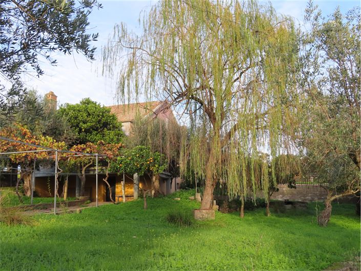 Image No.14-Propriété de 3 chambres à vendre à Castelo Branco