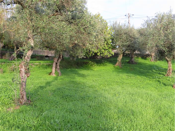 Image No.15-Propriété de 3 chambres à vendre à Castelo Branco