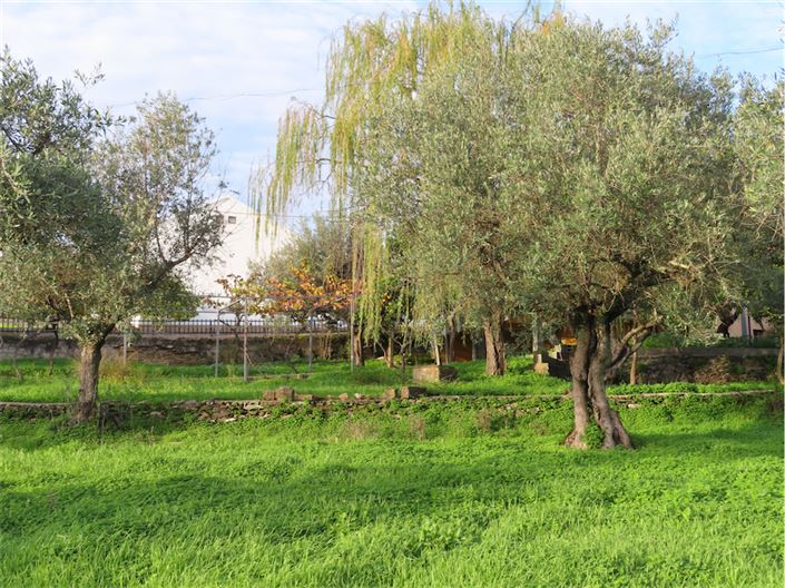 Image No.16-Propriété de 3 chambres à vendre à Castelo Branco