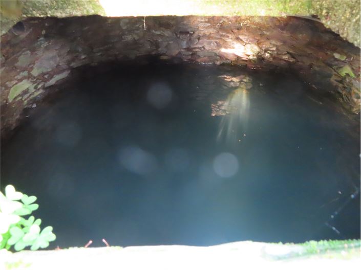 Image No.20-Propriété de 3 chambres à vendre à Castelo Branco