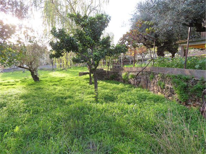 Image No.21-Propriété de 3 chambres à vendre à Castelo Branco