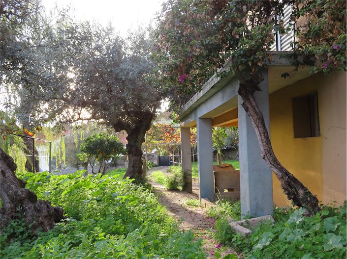 Image No.23-Propriété de 3 chambres à vendre à Castelo Branco