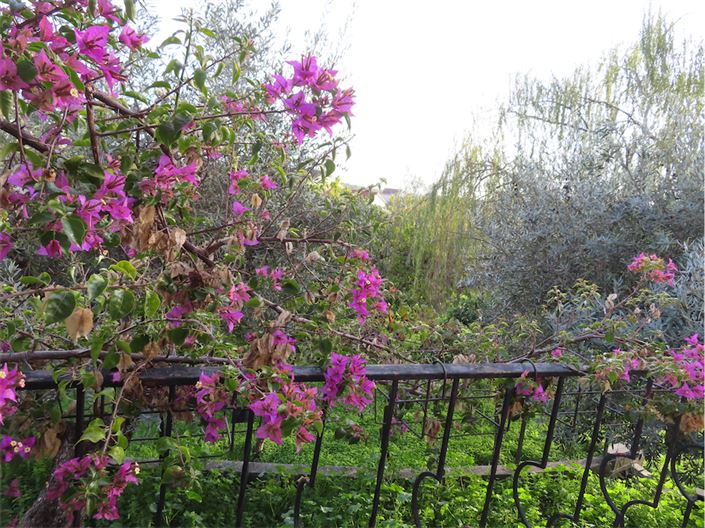 Image No.29-Propriété de 3 chambres à vendre à Castelo Branco