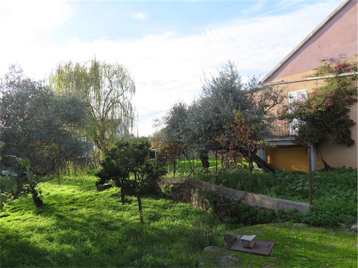 Image No.3-Propriété de 3 chambres à vendre à Castelo Branco