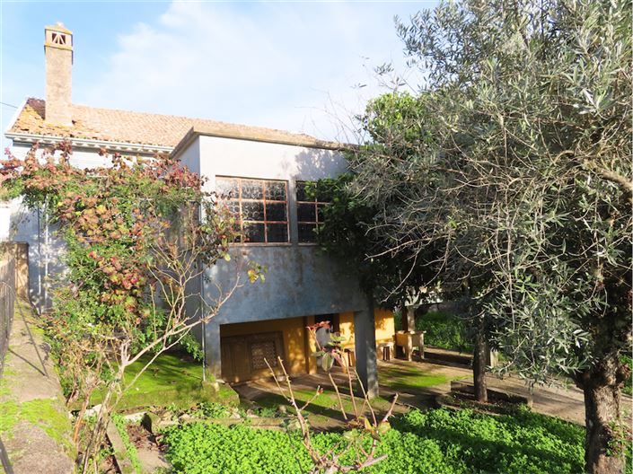 Image No.5-Propriété de 3 chambres à vendre à Castelo Branco