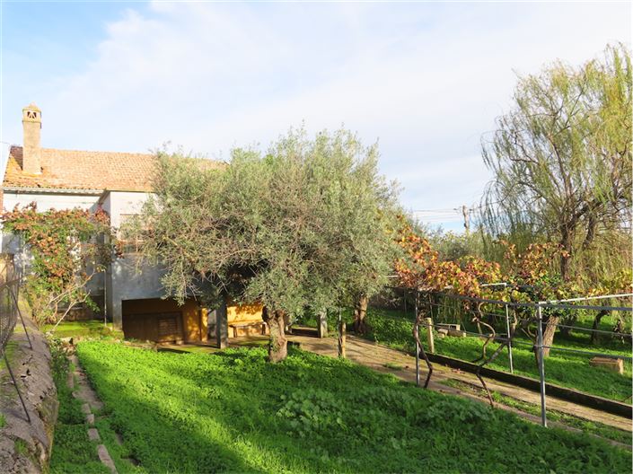 Image No.6-Propriété de 3 chambres à vendre à Castelo Branco