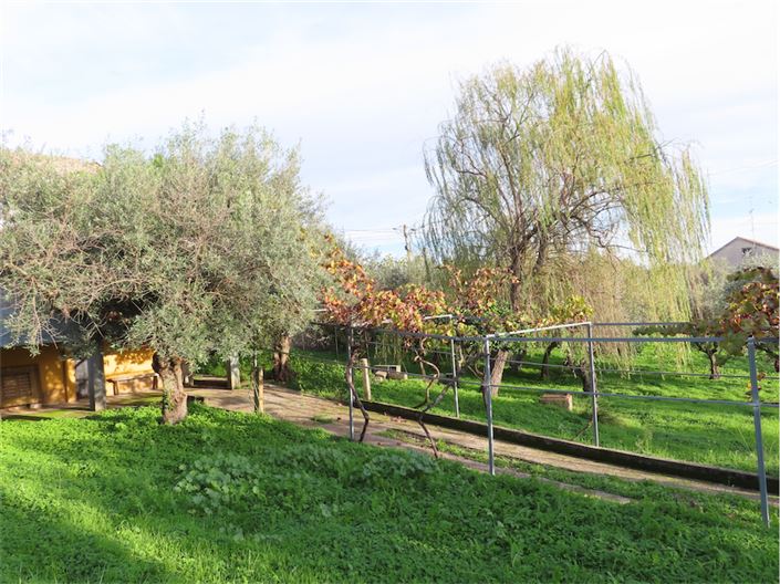 Image No.7-Propriété de 3 chambres à vendre à Castelo Branco