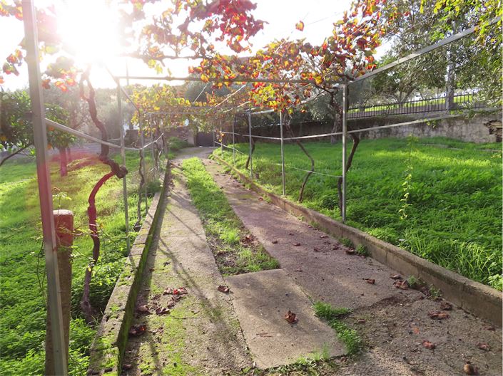 Image No.8-Propriété de 3 chambres à vendre à Castelo Branco