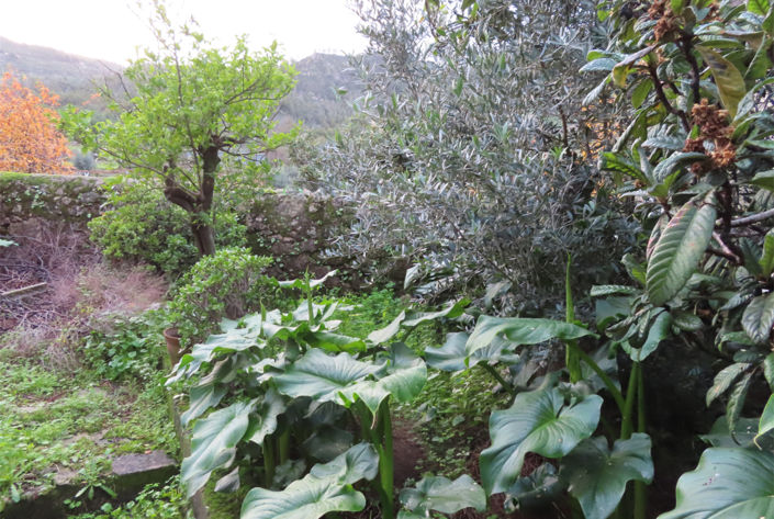 Image No.8-4 Bed Property for sale