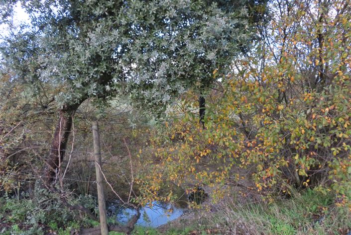 Image No.19-Property for sale