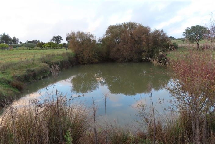 Image No.2-Property for sale