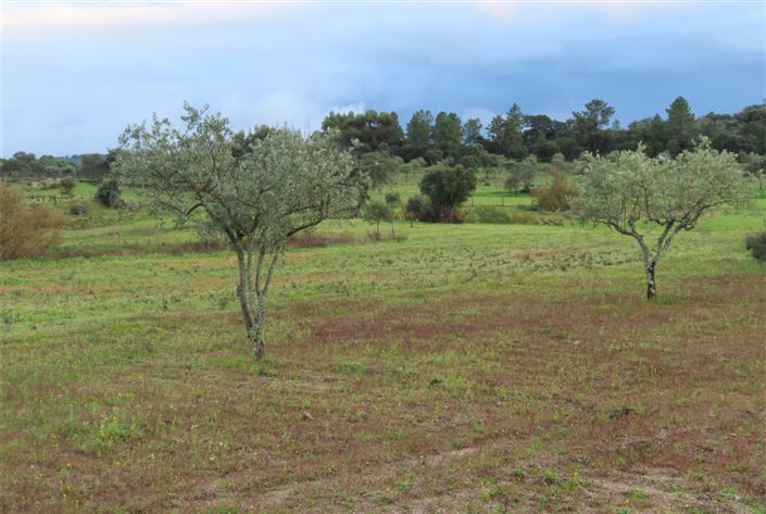 Image No.26-Property for sale