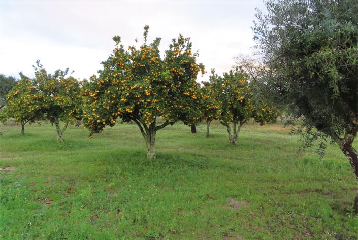 Image No.28-Property for sale