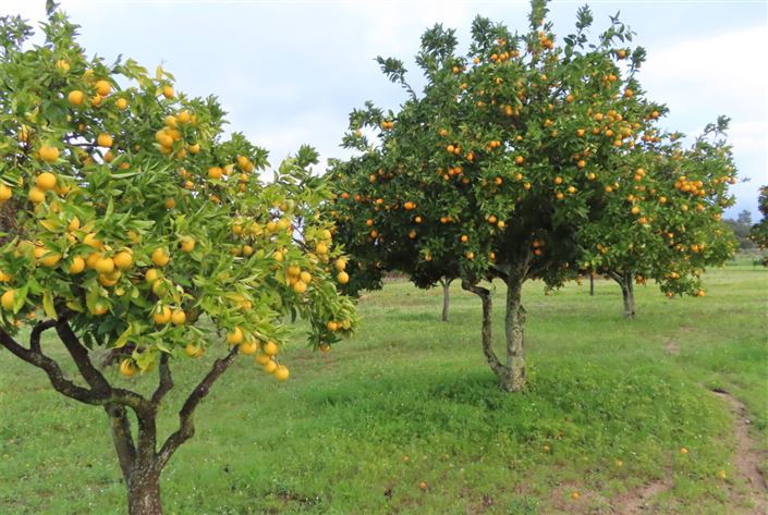 Image No.31-Property for sale