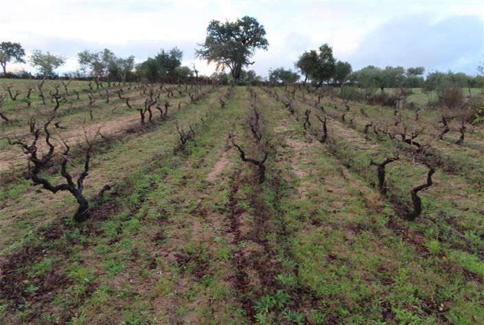 Image No.32-Property for sale