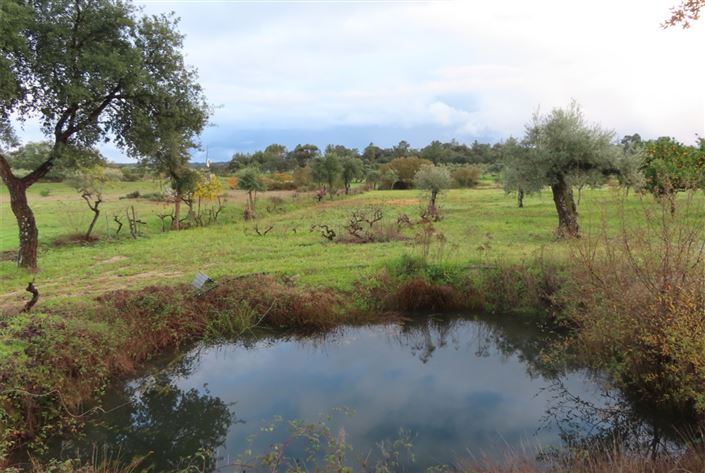 Image No.34-Property for sale