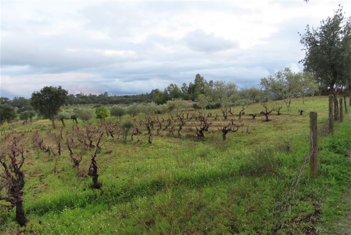 Image No.44-Property for sale