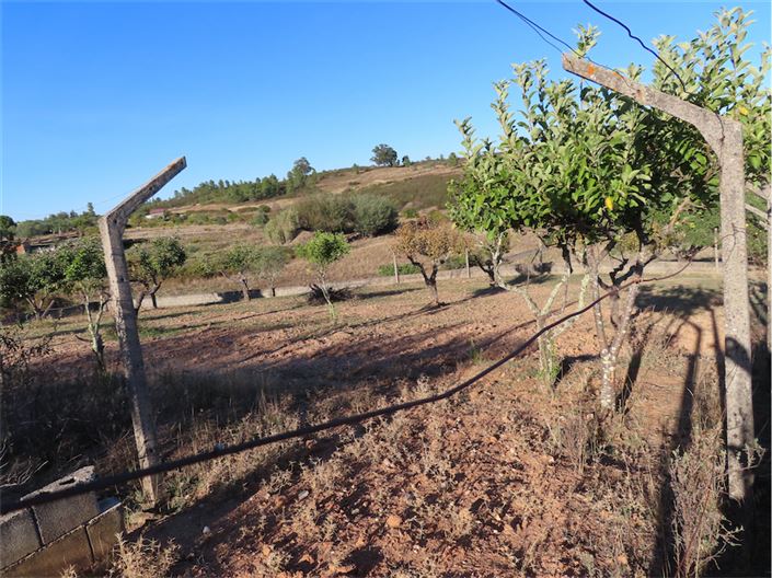Image No.10-Propriété de 3 chambres à vendre à Castelo Branco