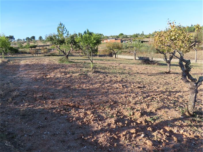 Image No.11-Propriété de 3 chambres à vendre à Castelo Branco