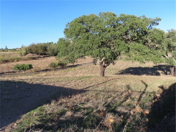 Image No.14-Propriété de 3 chambres à vendre à Castelo Branco