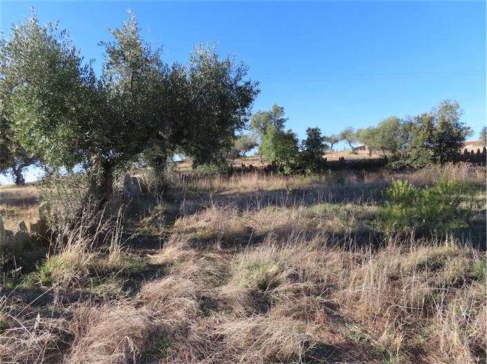 Image No.16-Propriété de 3 chambres à vendre à Castelo Branco