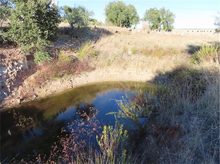 Image No.17-Propriété de 3 chambres à vendre à Castelo Branco